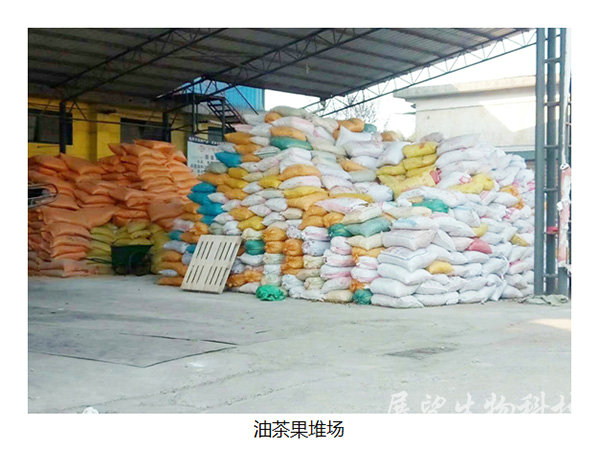 公司实景7 公司实景7