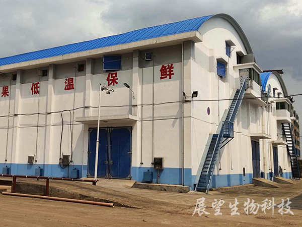仓库 仓库