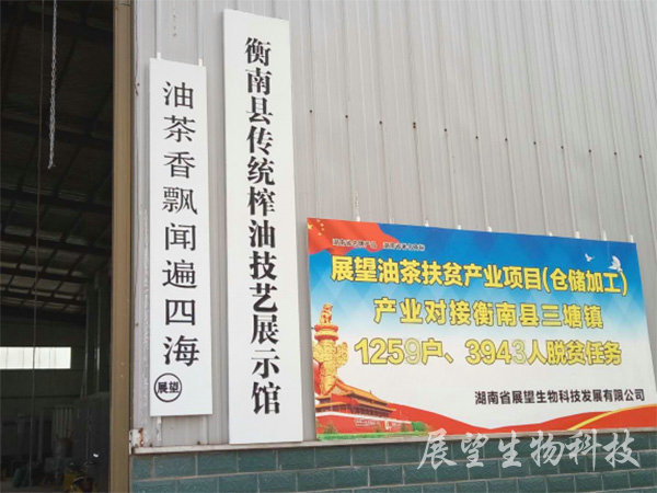 公司实景 公司实景